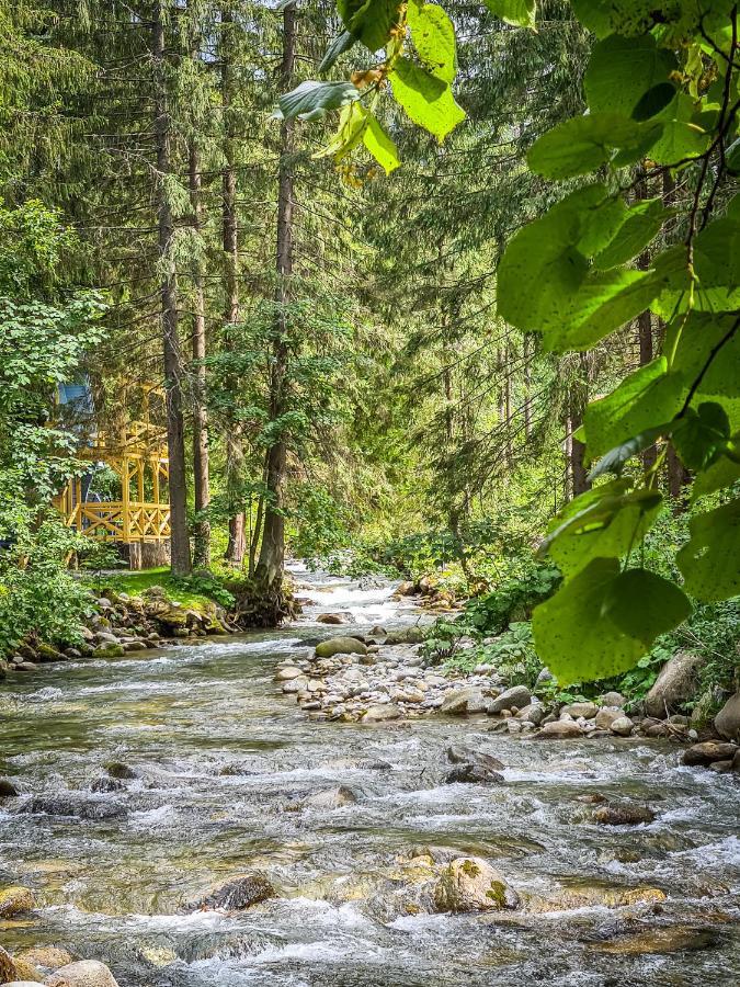 Tatrystay Riverstone Chalets デマノブスカ・ドリーナ エクステリア 写真