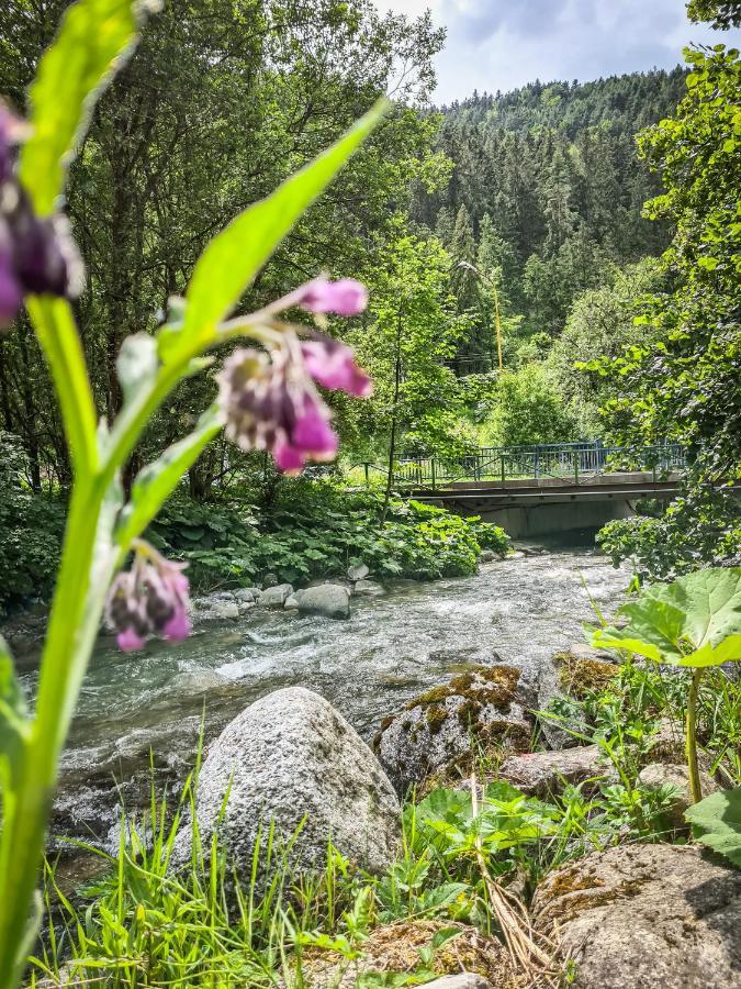 Tatrystay Riverstone Chalets デマノブスカ・ドリーナ エクステリア 写真