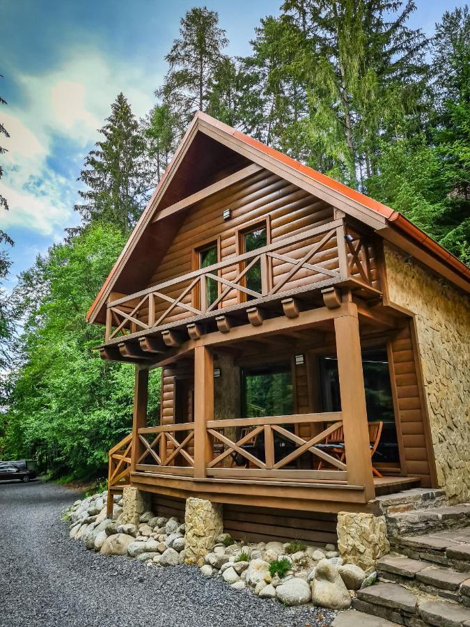 Tatrystay Riverstone Chalets デマノブスカ・ドリーナ エクステリア 写真