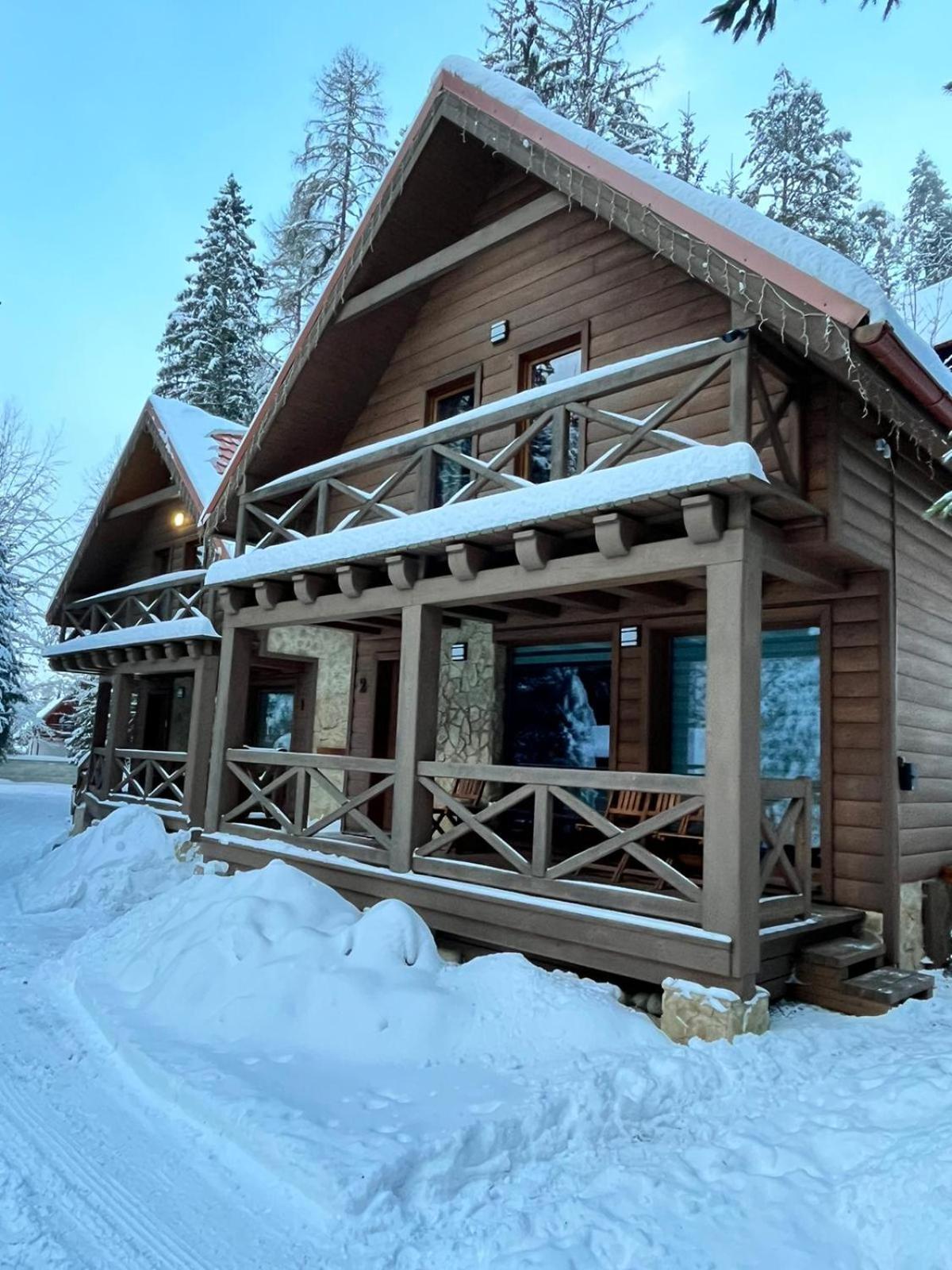 Tatrystay Riverstone Chalets デマノブスカ・ドリーナ エクステリア 写真